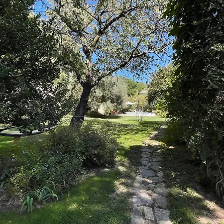 Tatil Evi Domaine Du Mas Fontclaire - 28 Pers Sommières